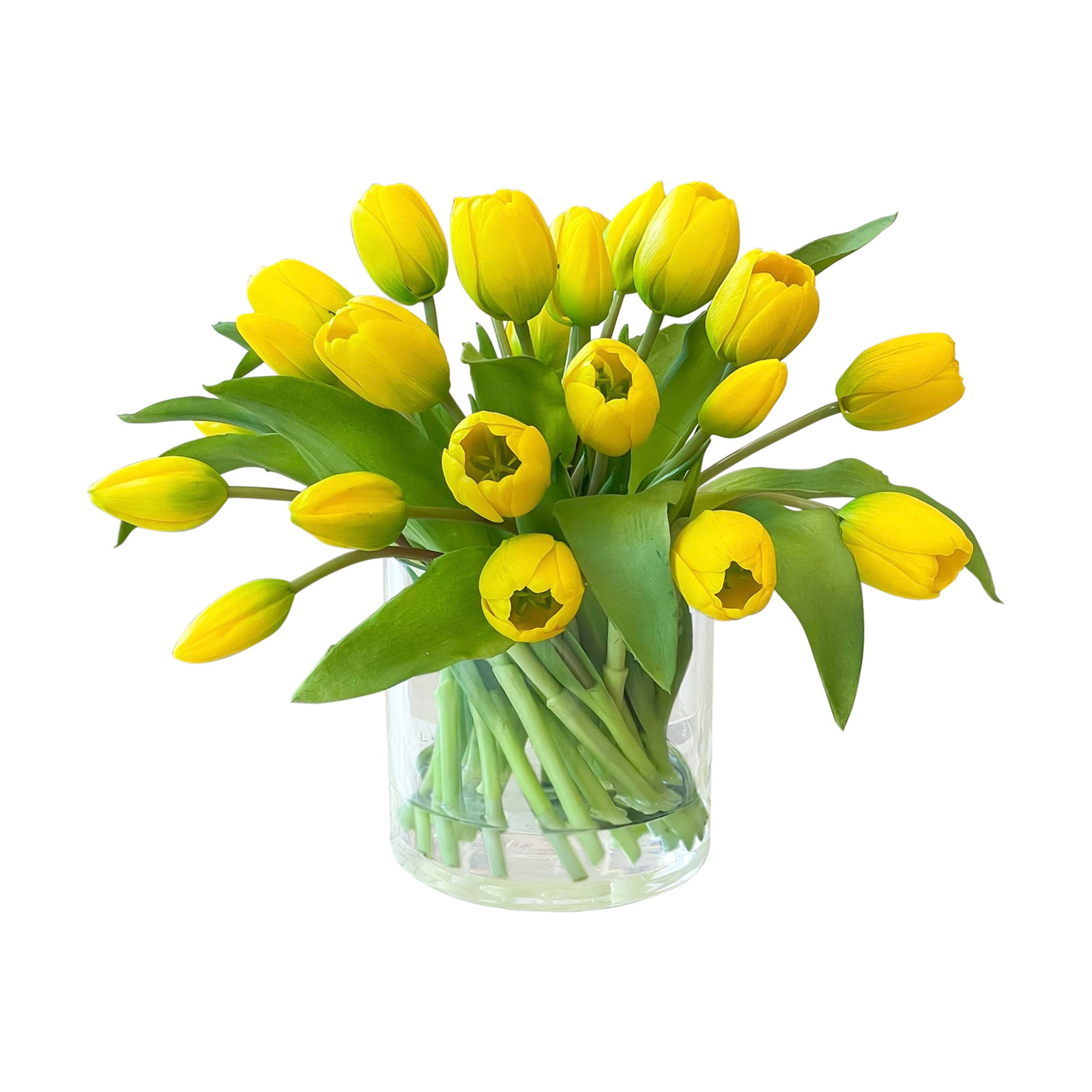 Tulips in Vase, Yellow