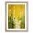 Oak Framed selected