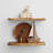 Zuzia 2 Piece Free Form Cedar Solid Wood Floating Shelf-628561293