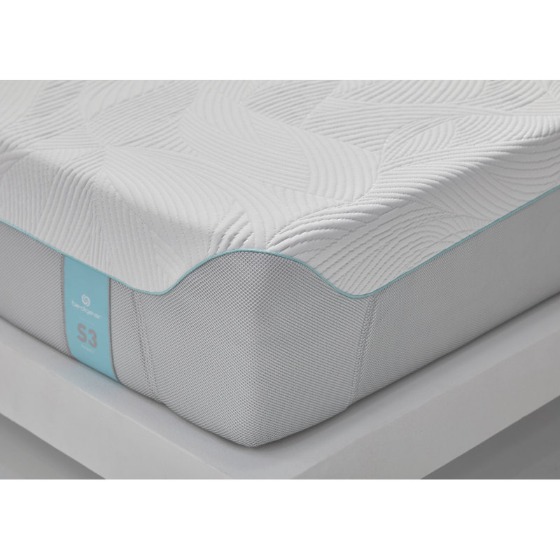 Bedgear Sport Performance Mattress - Instant Cooling by Ver-Tex Technology, Queen