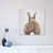 Rabbit Tail - Wrapped Canvas Print-1890538447