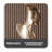 31.5" Gold Composite Decorative Objects