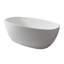 Eleganza 63.12'' L Freestanding Soaking Bathtub-63917718