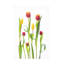 Tulipes sur toile-409744300
