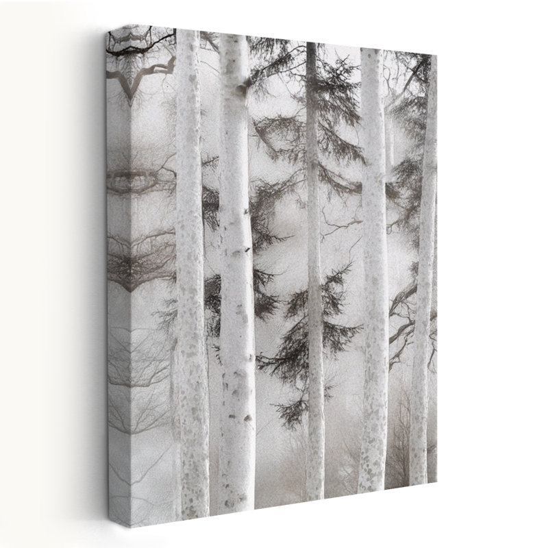 Misty Birch Forest In Soft Light - Photographie de paysage, art monochrome en nature, H 24 po x l 16 po