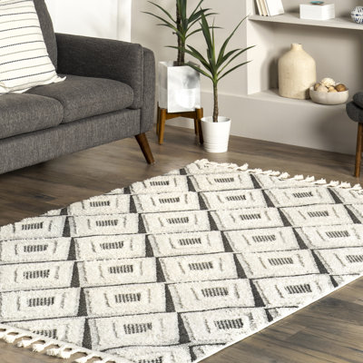 Nerissa High/Low Diamond Tasseled Area Rug