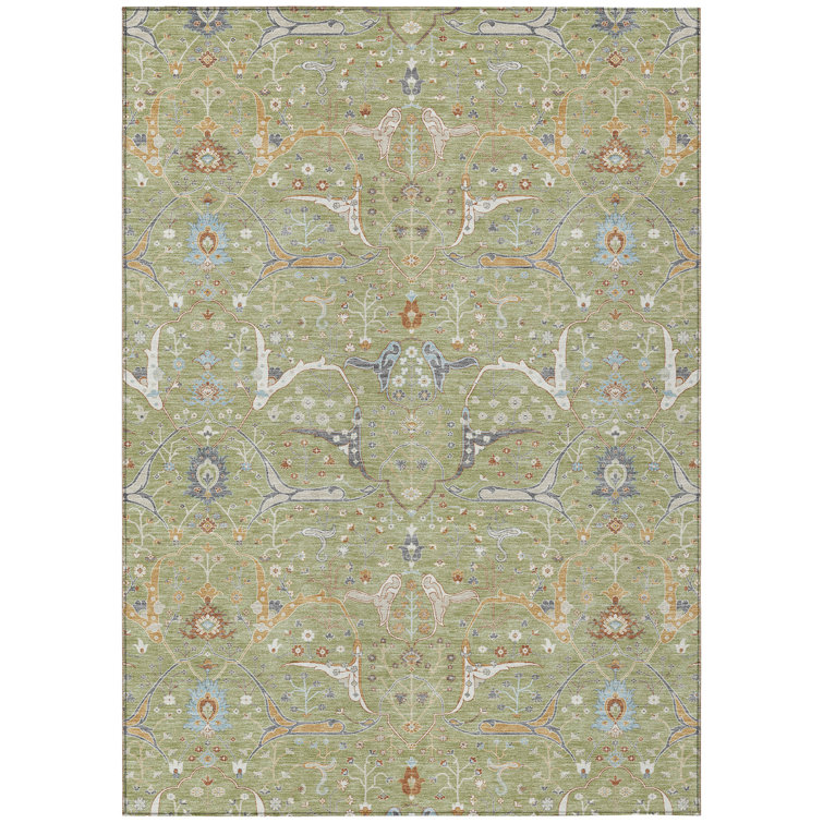 Machine Washable Indoor/Outdoor Boruta ACN2250 Global Rug