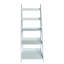 Milene 180cm H x 60cm W Ladder Bookcase