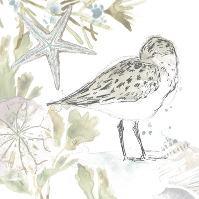Seaside Sandpipers I by June Erica Vess - Wrapped Canvas Painting