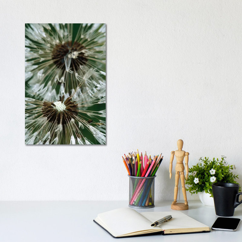 Star Forming Region In The Small Magellanic Cloud (NGC 602) by Gerry Ellis - Wrapped Canvas Print, 20.32 cm H x 30.48 cm W
