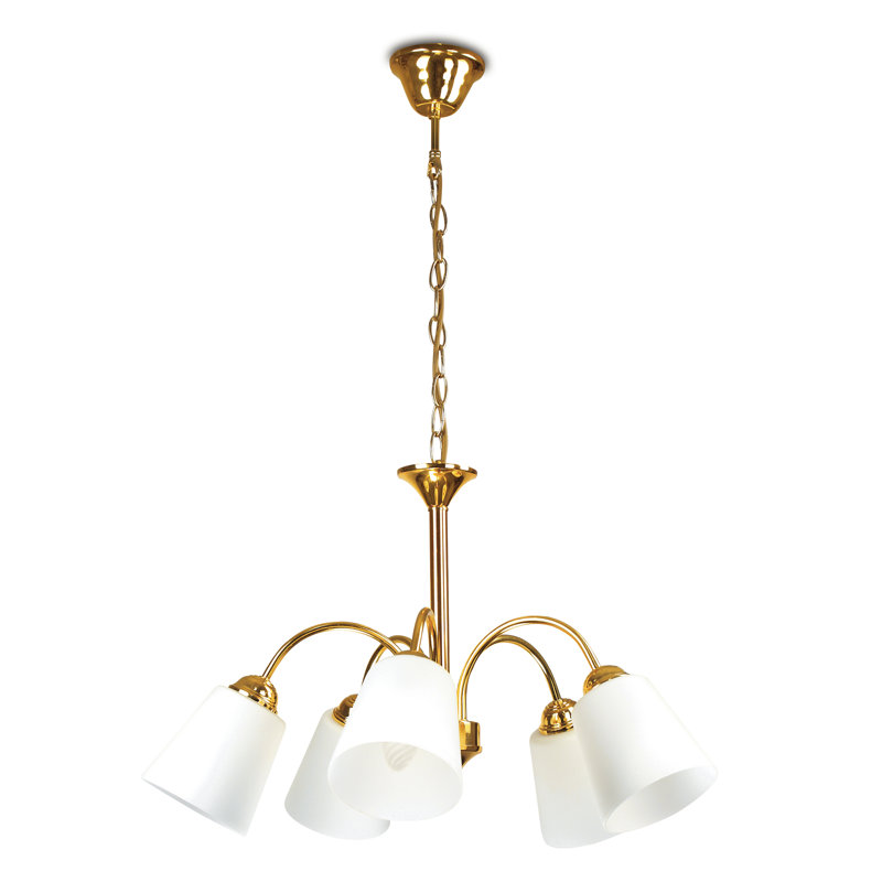 Doody 5 - Light Shaded Chandelier