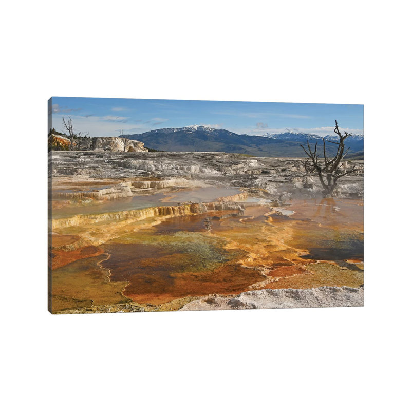 Canary Springs by Brian Wolf - Wrapped Canvas Gallery-Wrapped Canvas Giclée
