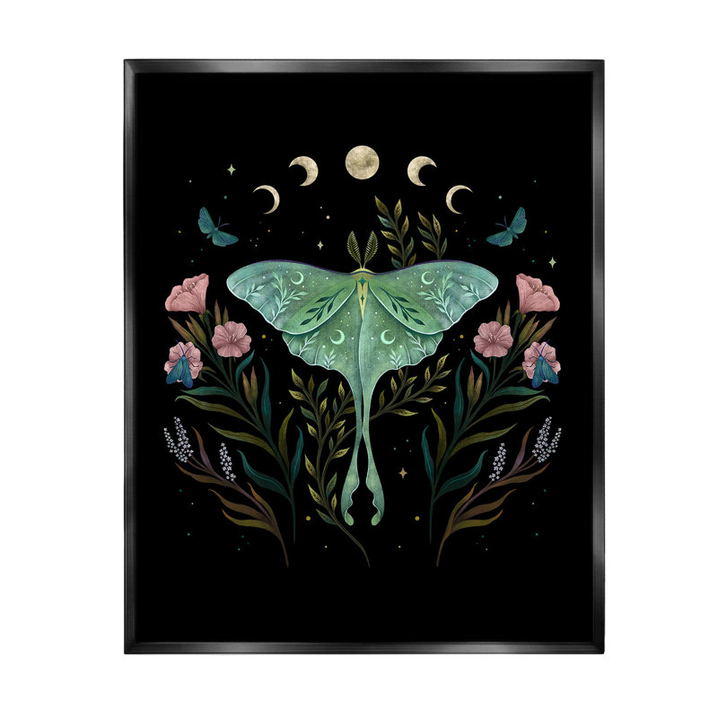 "Luna Moth with Florals", art mural sur toile flottante par Episodic Dessins, Cadre flottant noir de jais, H 31 po x l 25 po