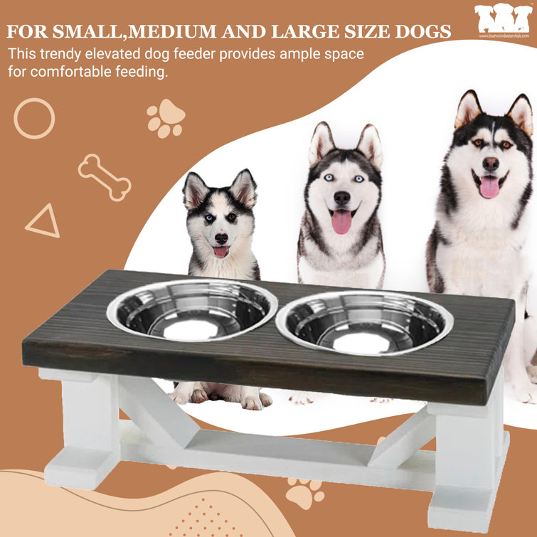 Wayfair  Dog & Pet Bowls & Feeders You'll Love in 2024