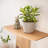 Solid Wood Floating Wall Shelf-452097601