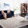 Calidia Oriental Dark Gray/Cream Area Rug