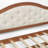 Twin Daybed With Trundle And 2 Drawers-126034177