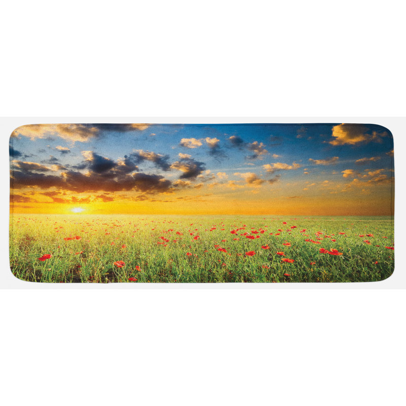 Tapis de cuisine dépilé