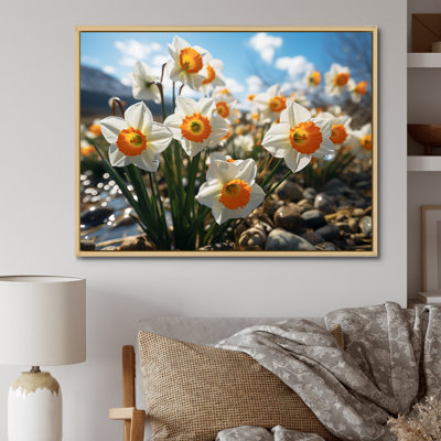 " Daffodils Field Sunset III "