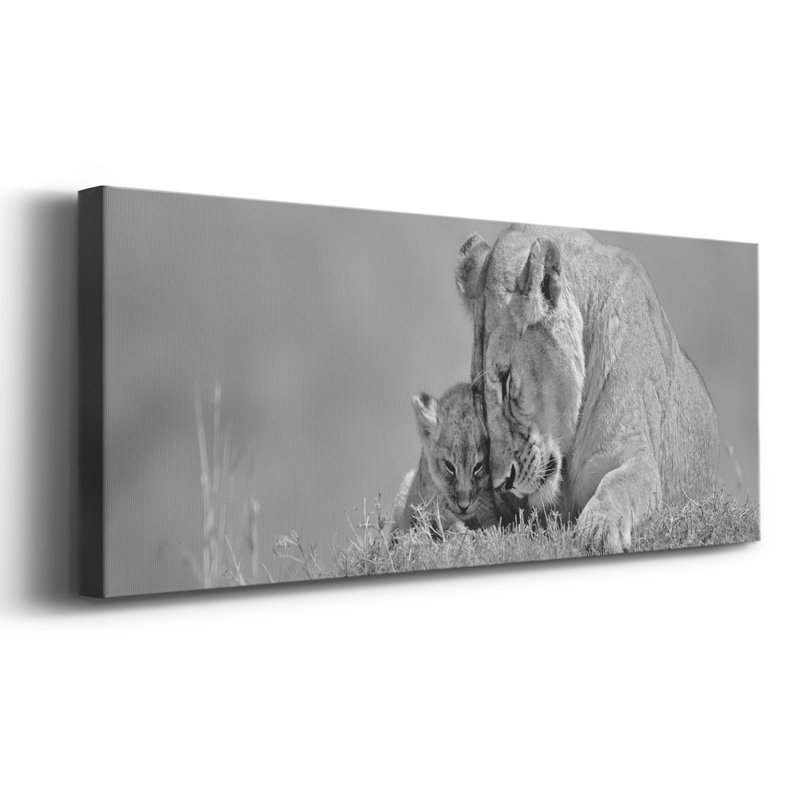 «Lioness Love», toile tendue avec châssis, H 24 po x l 60 po x P 1,5 po