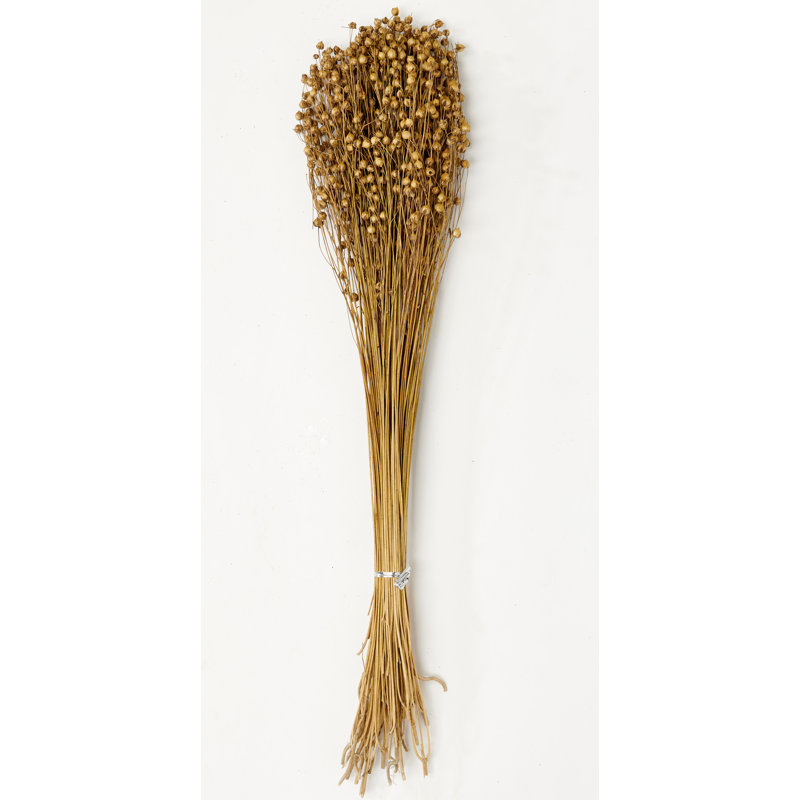 Lino Flax Grass Bush