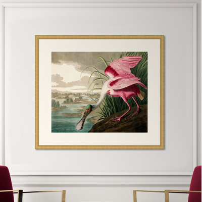 " Audubon's Roseate Spoonbill In Gold " by John Audubon