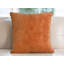 Nayely Square Throw Pillow Cover-1811463199
