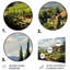 Vineyard Country Charm Serene - Impression sur métal-2012141191