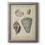 «Vintage Shell Study II», reproduction d'art sur toile encadrée-2116877344