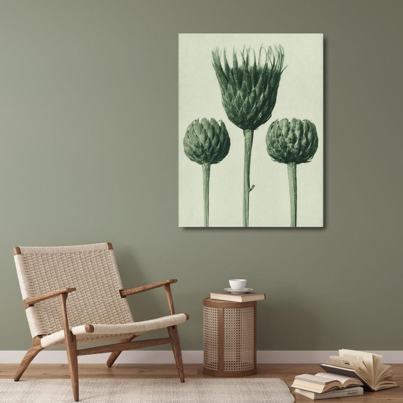 Art sur toile, Blatfeldt, Karl: Serratula Nudicaulis, H 36 po x l 28 po