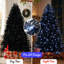 Sapin de Noël noir de 2,4 m avec 600 lumières DEL blanches, 2486 branches en PE+PVC pour la décoration d'Halloween et des fêtes, structure articulée