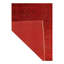 Shalesh Area Rug in Red