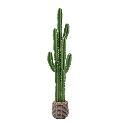 126cm Detachable 3-Prong String Thorn 5-Ridge Artificial Cactus in Brown Woven Pot with 1-Minute Assembly