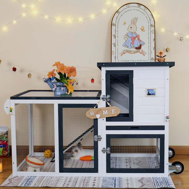 Cage à lapin pour l'extérieur