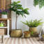 Ensemble de 3 jardinières en métal vieilli, L: 12 x 12 x 14 po, M: 9 x 9 x 11,5 po, L: 6,3 x 6,3 x 8,7 po