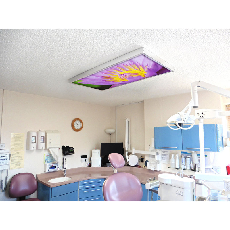 Couvre-lampes fluorescents pour salle de classe Flower - pour luminaire 2 x 4 - par Octo Lights