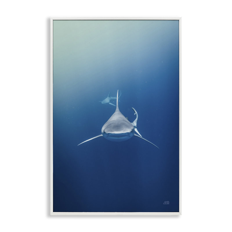  Tête de requin, estampe numérique par Max Blakesberg Studios, H 24 po x l 16 po, Giclée encadrée blanc bord de mer