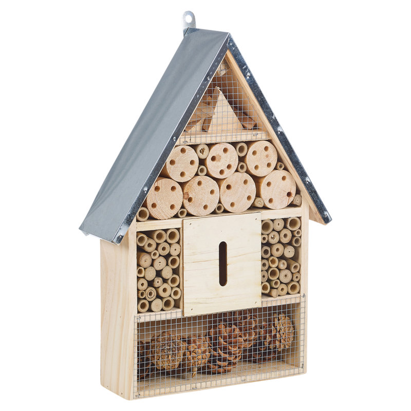 Amatrudo Mounted Insect House