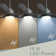Levyn 52'' Ceiling Fan with LED Lights