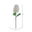 Lavender Stem-25636912