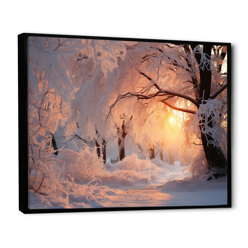 Paysage d'hiver «Frozen Sunlight II» - impressions de paysage d'hiver, 30" H x 40" W, Cadre flottant noir