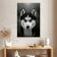 Husky sibérien Brampt-108424296