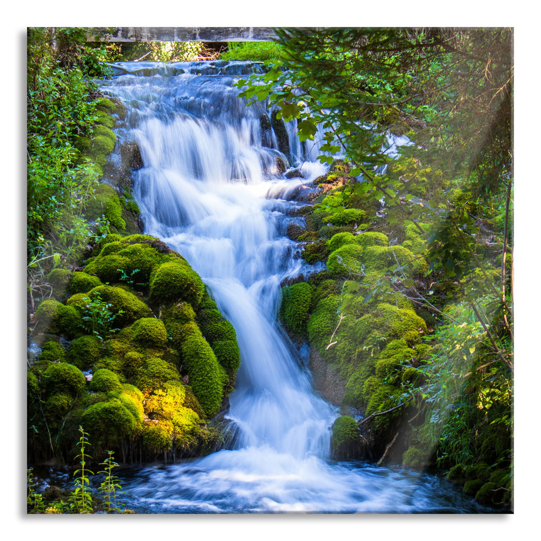 Ungerahmtes Foto auf Glas "Waterfall in the Green Forest"