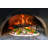 Medici & Co. Stainless Steel Free Standing Wood Burning Pizza Oven-58649631