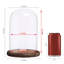 Pot de cloche en verre