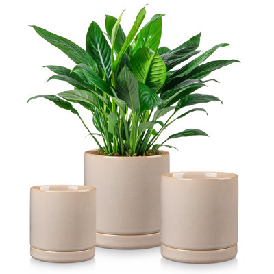 FLHPOT Ceramic Pot Planter
