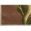Vienna Wool Floral Indoor Rug-1770414982