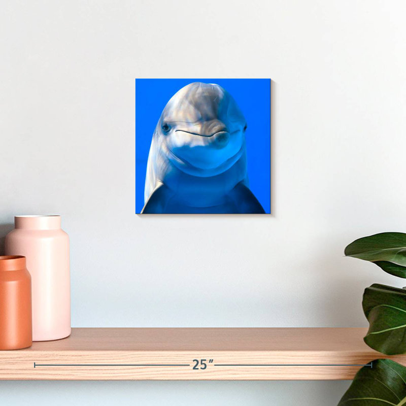 Brampt Sociable Dolphin, 10" H x 10" W