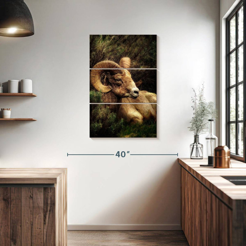 Brampt Yellowstone Bighorn Ram, 38" H x 24" W