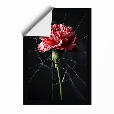Carnation in Spider Web Botanical - Framed Print